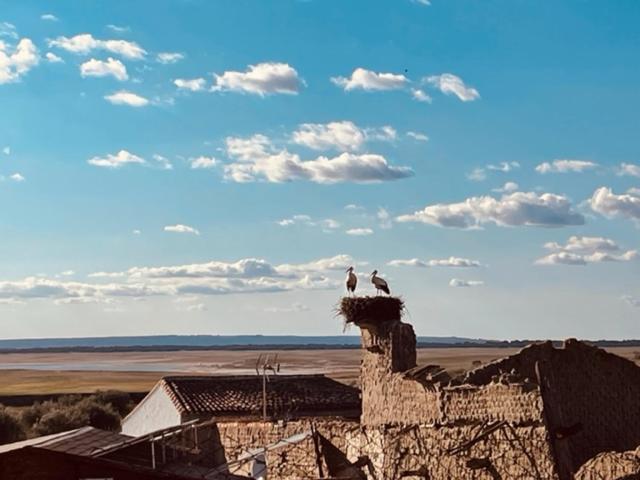 Casa Rural La Cruz El Gordo Zewnętrze zdjęcie