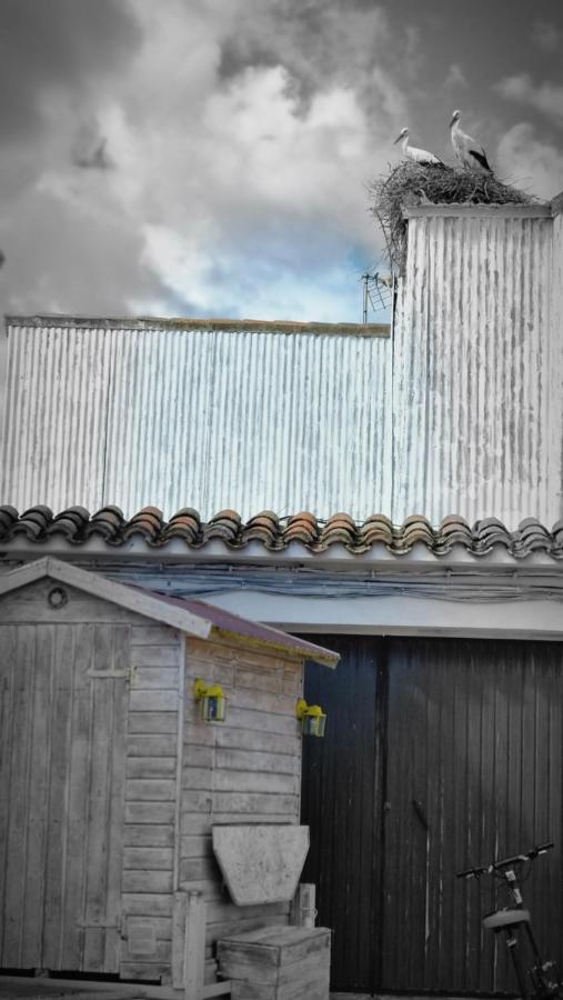 Casa Rural La Cruz El Gordo Zewnętrze zdjęcie